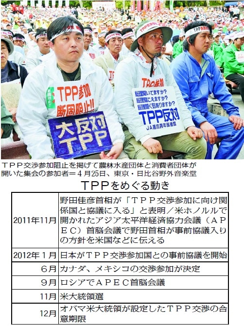 tpp動き.jpg
