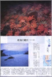 七つの海マゼラン海峡.jpg