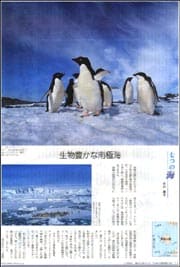 七つの海・南極海.jpg