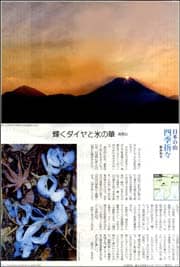 日本の山高尾山.jpg