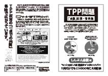 /web_download/bira/2011/20111201_tpp_main.jpg