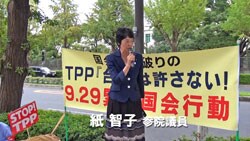 20150929_TPP_kami.jpg