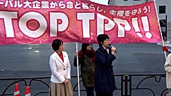 20160405_kami_TPP.jpg