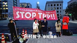20160405_tamuratomoko_TPP.jpg