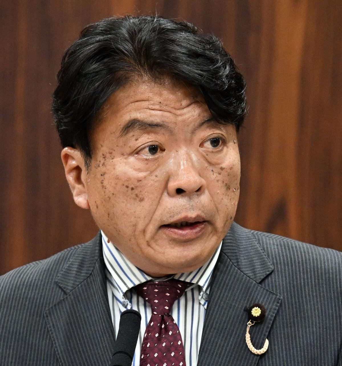 強制送還一本やりやめよ/「不法滞在者ゼロプラン」 仁比氏が追及/参院