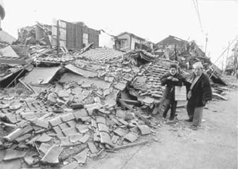 阪神・淡路大震災における住まいの再建　論説と資料 阪神淡路大震災と文学館 | ネットミュージアム兵庫文学館 : 兵庫県立美術館