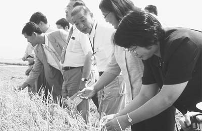 台風被害共産党調査 国の支援を早く