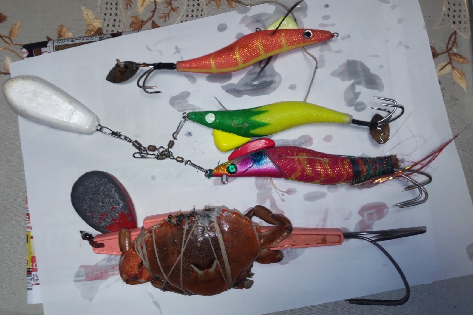 写真：タコエギ