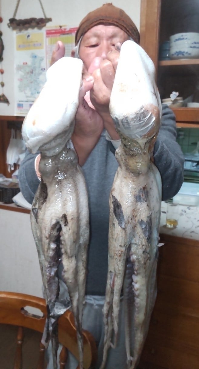 写真：タコ釣り