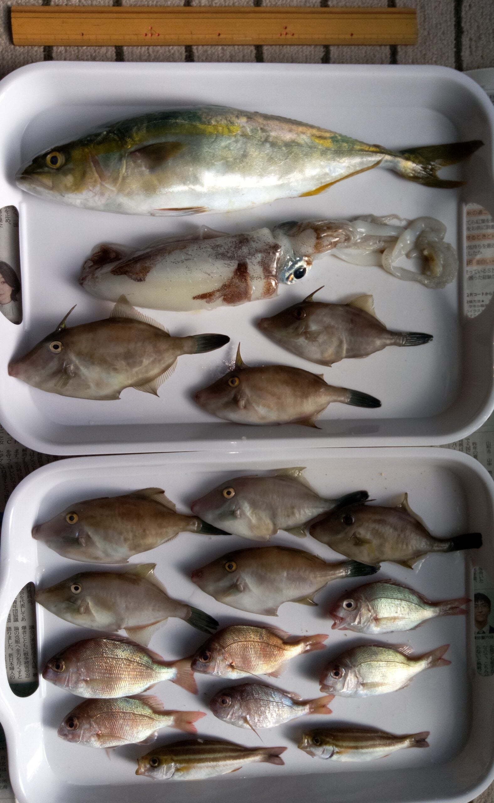 写真＠釣行記②