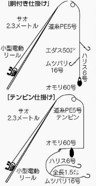 釣り記事の仕掛け図