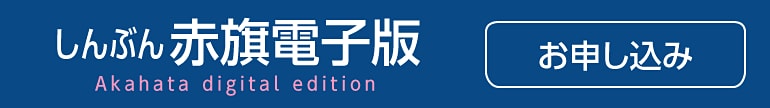 被災者の生活再建を/参院復興特委 岩渕氏が迫る - しんぶん赤旗