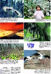 16面
