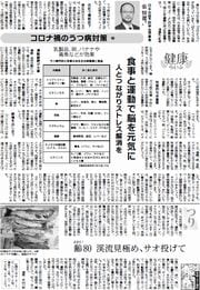 32面