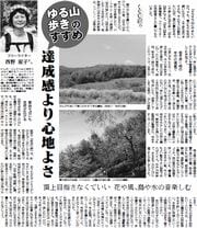 13面