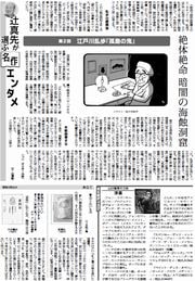31面