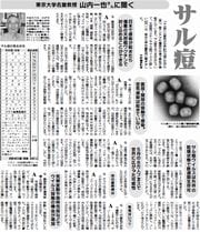9面