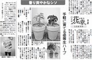 10面