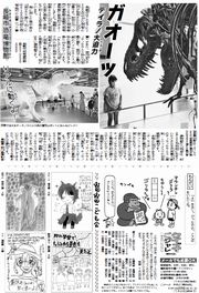 17面
