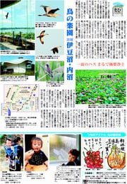 21面