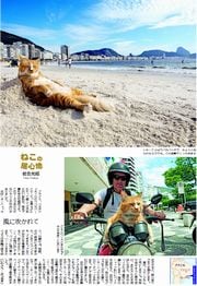 34面