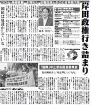 【自民党本部】【玉誠】安倍晋三 扇子 書道風デザイン 自民党本部】【玉誠】安倍晋三 扇子 書道風デザイン