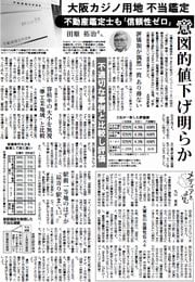 31面