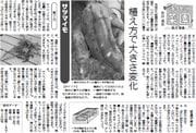 8面