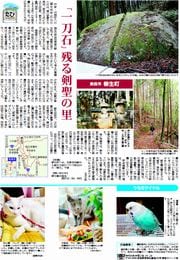 19面