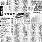 11面