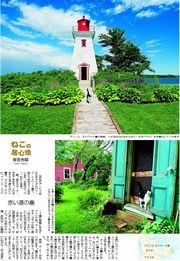 30面