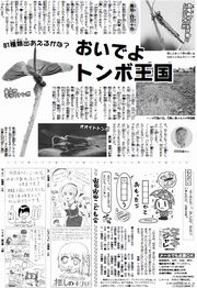 11面
