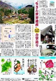 14面