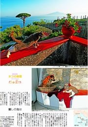 30面