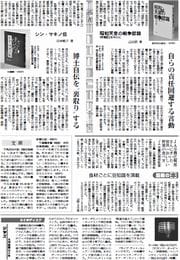 31面