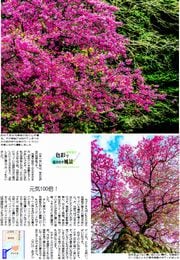 30面
