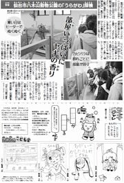 15面