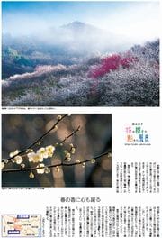 33面