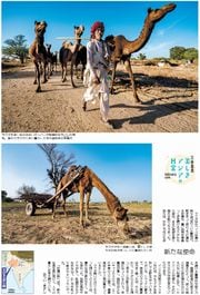 29面