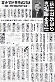 31面