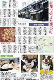 19面