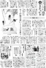 28面