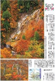 29面