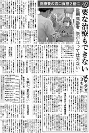 31面