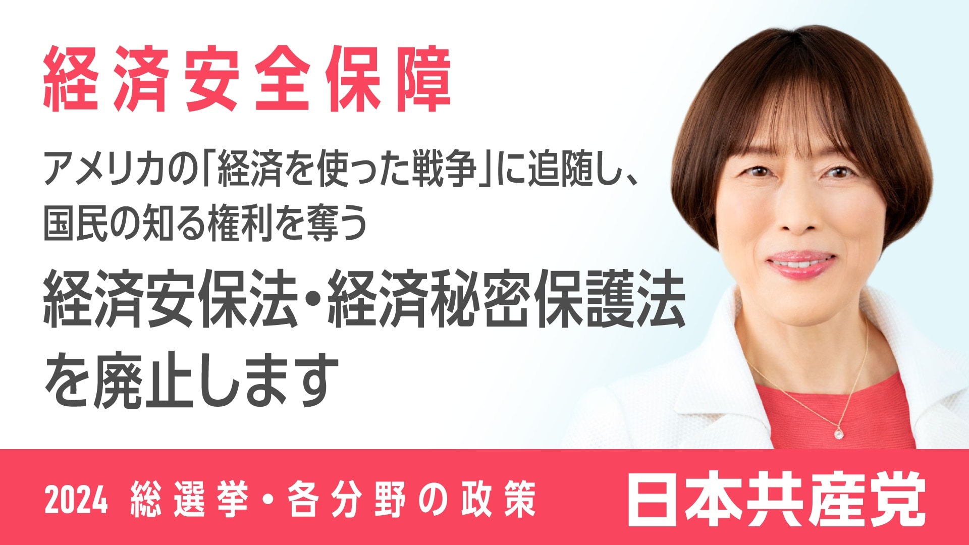 35、経済安全保障 ｜ 日本共産党