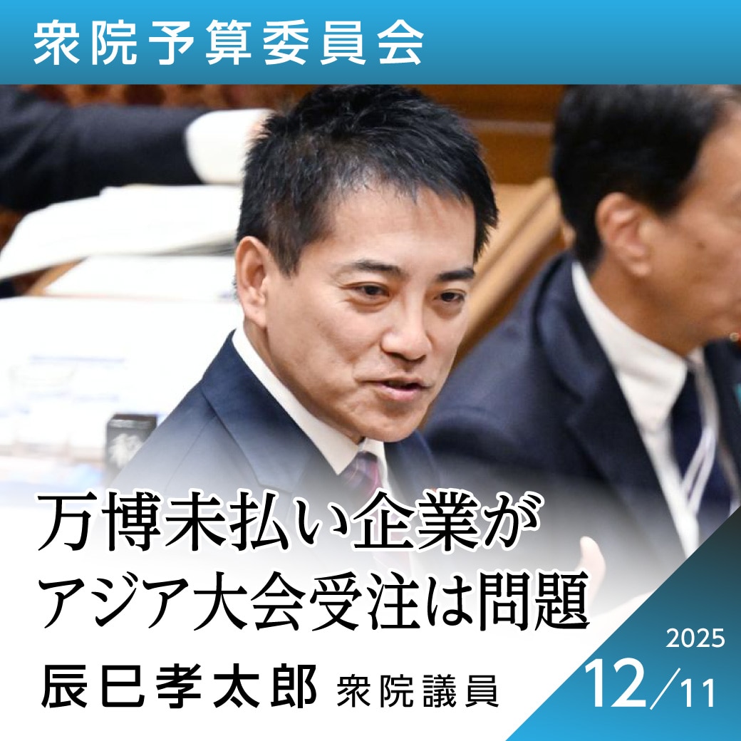 衆院予算委員会 辰巳孝太郎衆院議員