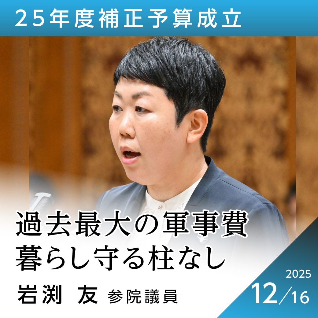 25年度補正予算成立 岩渕友参院議員