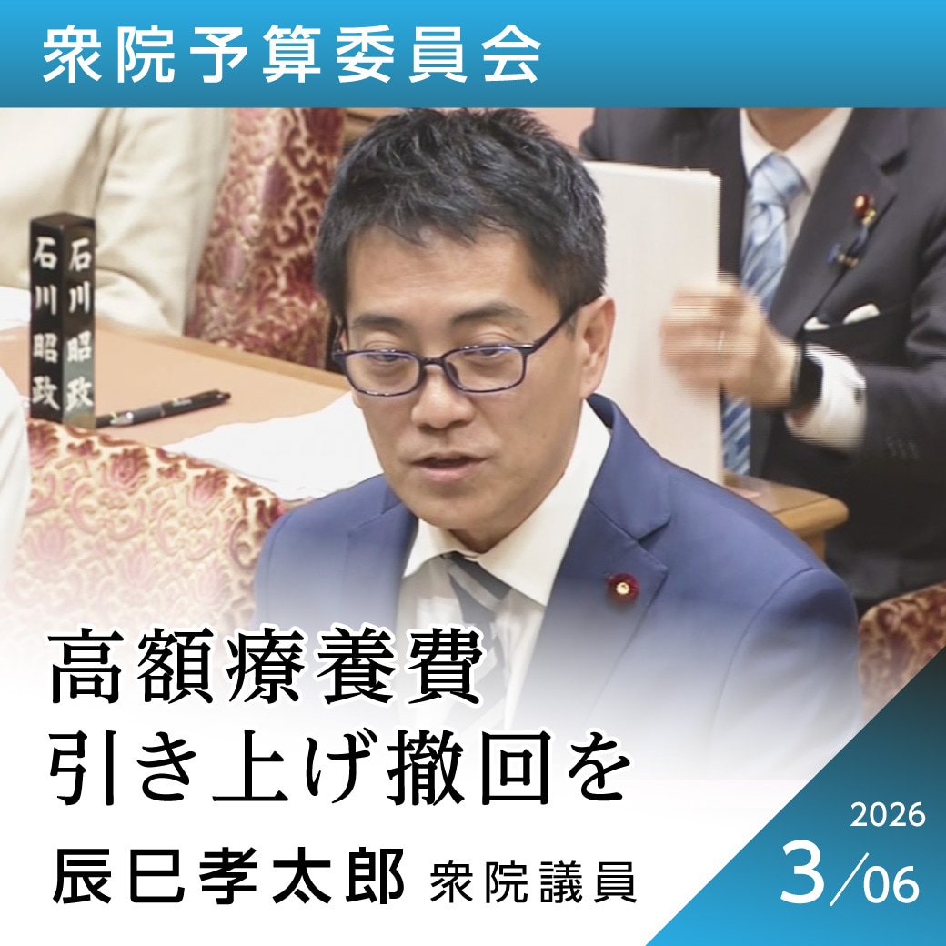 衆院予算委員会　辰巳孝太郎議員