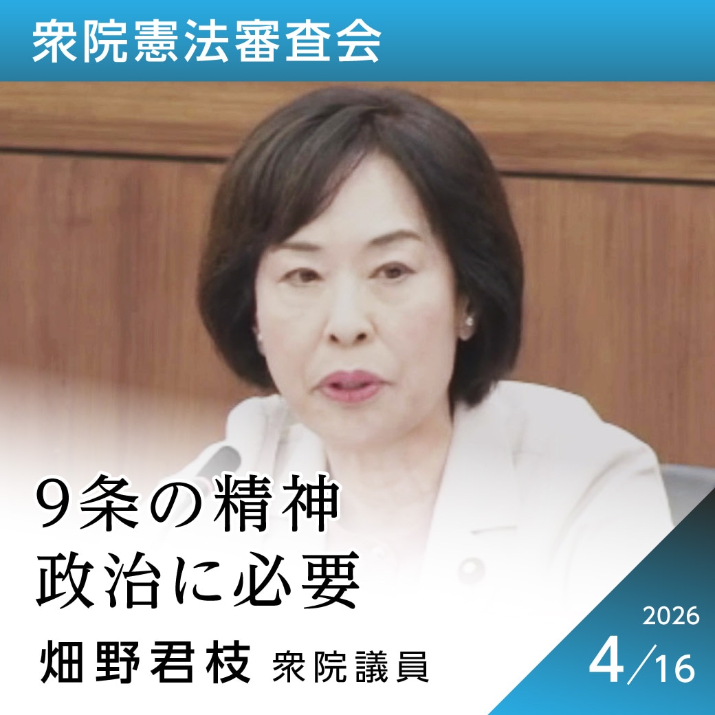 衆院憲法審査会　畑野君枝議員