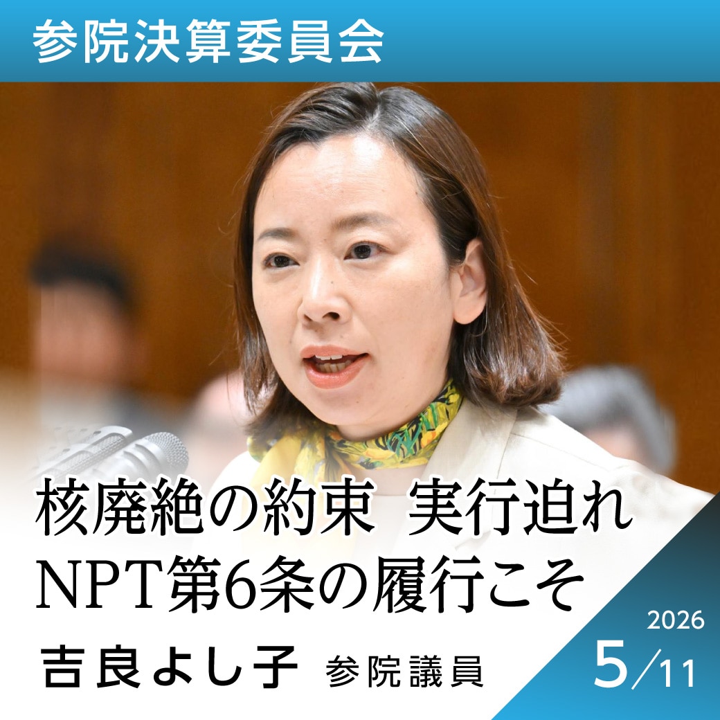 参院決算委員会　吉良よし子議員